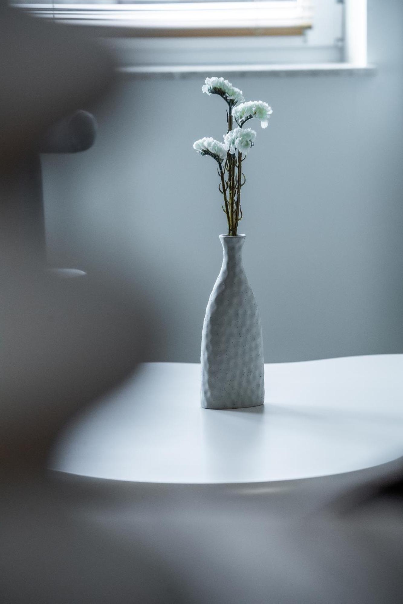 Apartamenty Balijskie Gliwice Esterno foto